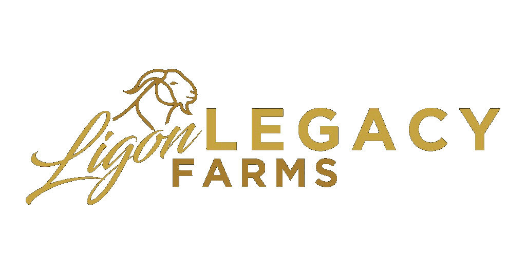 Ligon Legacy Farms — show goats
